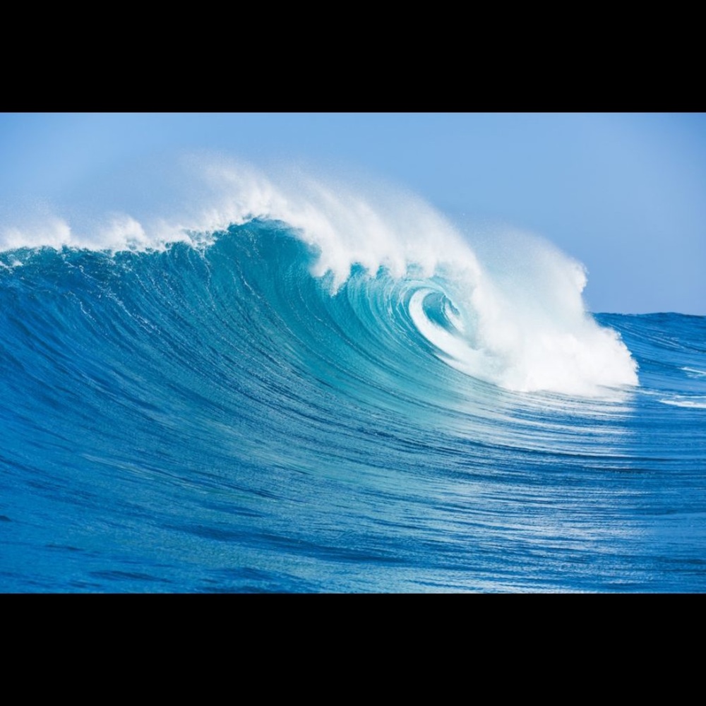 Meet your Posher, Aus